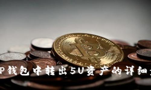 如何在TP钱包中转出5U资产的详细步骤解析