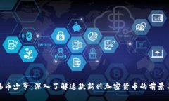 : 香港币少爷：深入了解这