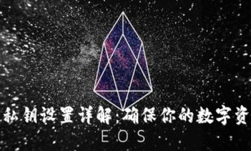 TP钱包私钥设置详解：确保你的数字资产安全