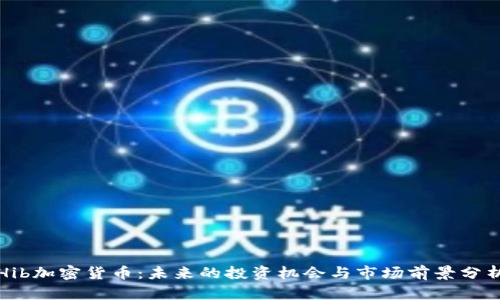 Hib加密货币：未来的投资机会与市场前景分析