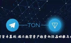 加密货币暴利：揭示数字