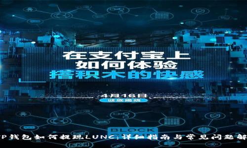  TP钱包如何提现LUNC：详细指南与常见问题解答