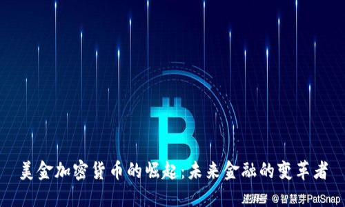 美金加密货币的崛起：未来金融的变革者