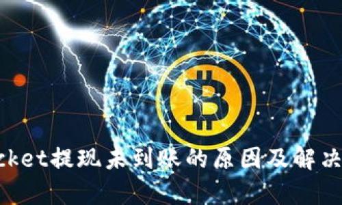 TokenPocket提现未到账的原因及解决方法解析