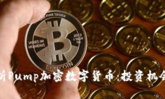 全面解析Pump加密数字货币