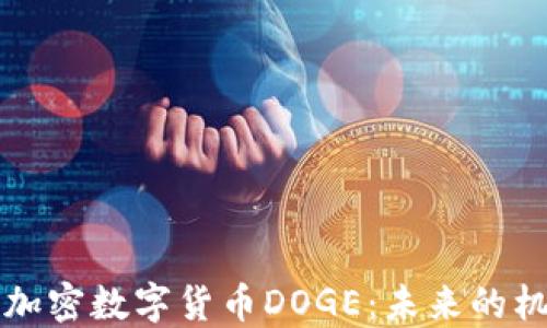 
深入探索加密数字货币DOGE：未来的机会与挑战
