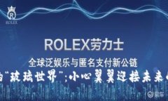 加密货币的“玻璃世界”