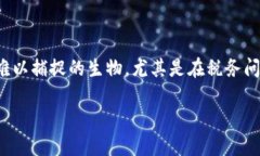 在回答“中国加密货币收