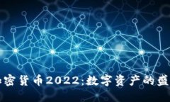 荷兰的加密货币2022：数字