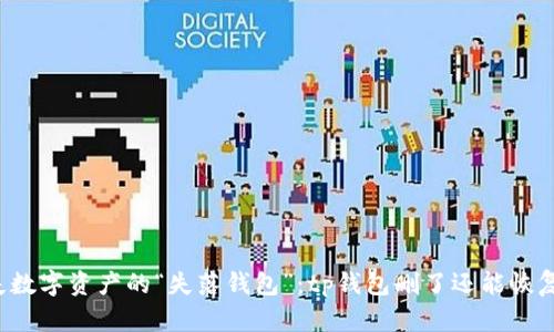 丢失数字资产的“失落钱包”：tp钱包删了还能恢复吗？