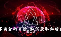 追逐数字黄金的冒险：如