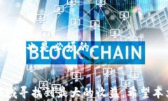 方案：“tp钱包”与“Fi