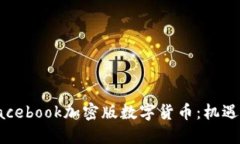 探索Facebook加密版数字货币
