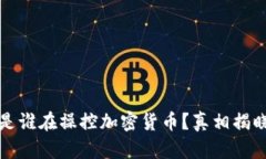 是谁在操控加密货币？真