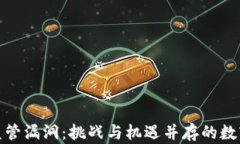 加密货币监管漏洞：挑战