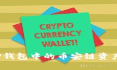  如何将TP钱包中的币安链