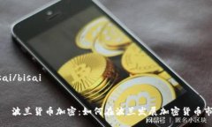 bisai/bisai    波兰货币加密