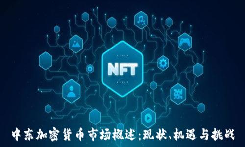   
中东加密货币市场概述：现状、机遇与挑战