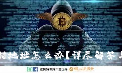 TP钱包充错地址怎么办？详尽解答与解决指南