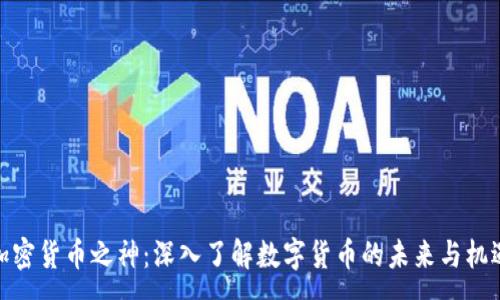 :
加密货币之神：深入了解数字货币的未来与机遇