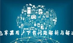 TP钱包苹果用户下载问题解