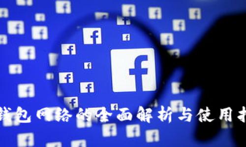 TP钱包网络的全面解析与使用指南