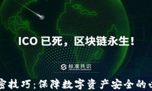 
货币加密技巧：保障数字资产安全的必备知识